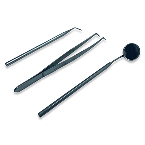 Lexbax Dental Pmt Set of 3 Pcs (Mirror With Handle, Tweezer, Probe single Ended) Pack of 1