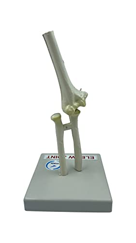 LexBax Elbow joint Modal on plastic base Indain quality pack of 1 pc