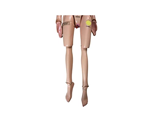 LexBax Maltifunction nursing Female mannequin movable Patient care Human teachin