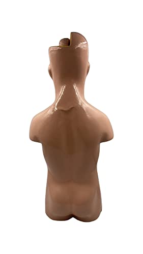 Lexbax Human torso model detachable 6 parts sexless pack of 1
